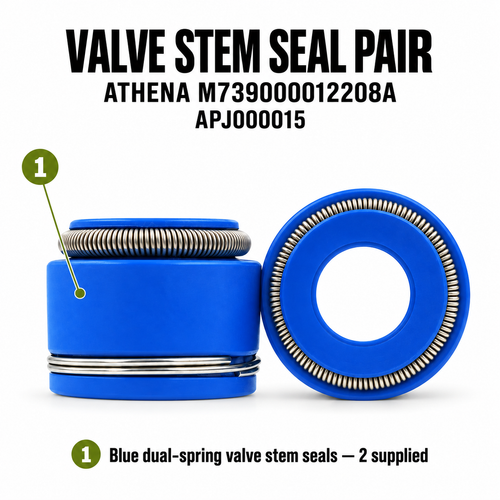 APJ000015 ATHENA M739000012208A numbered guide, two blue dual-spring valve stem seals supplied